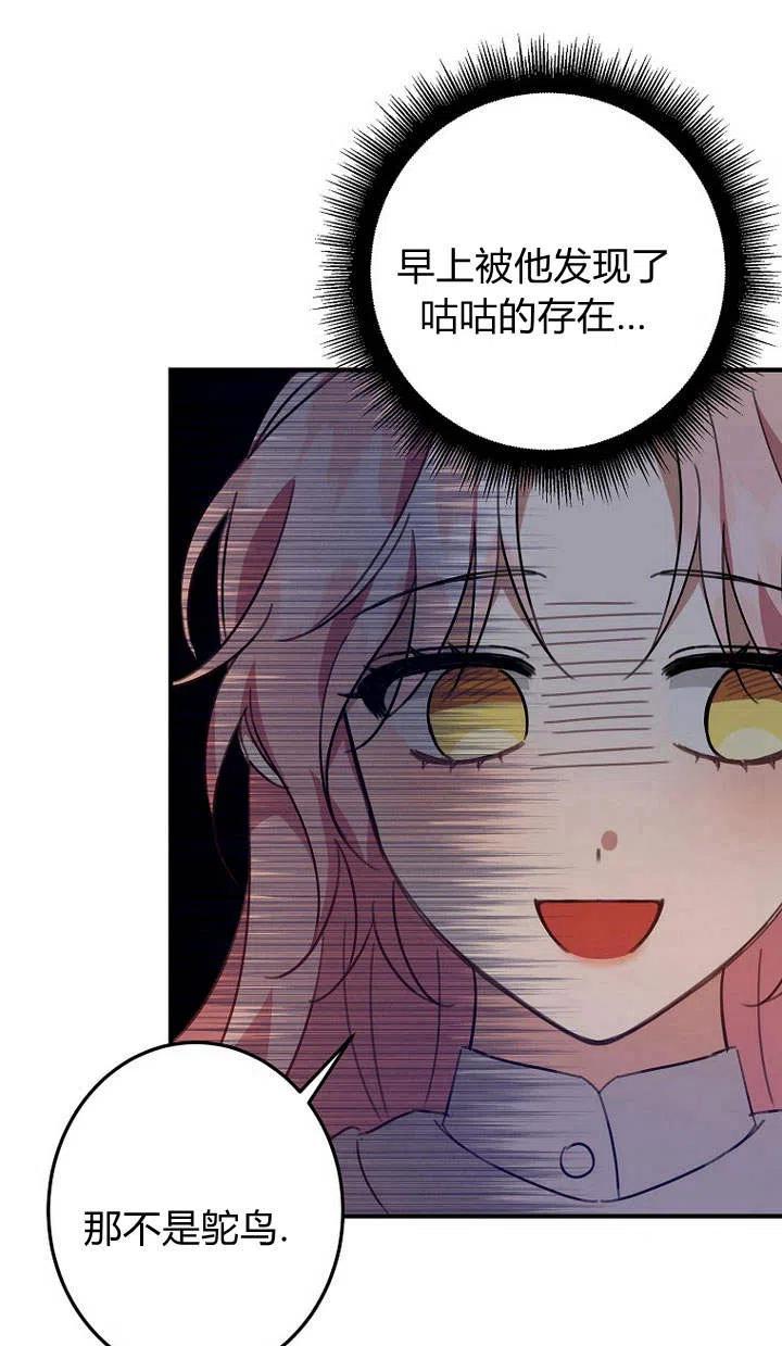 41.jpg
