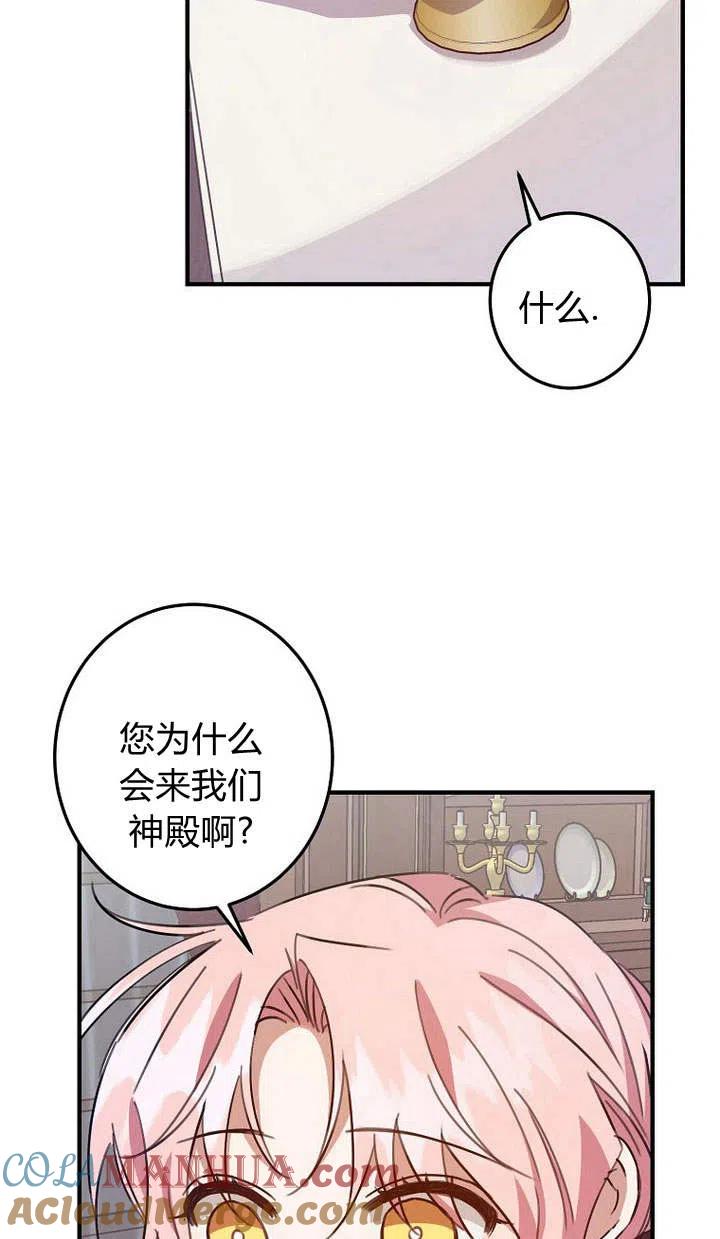 46.jpg