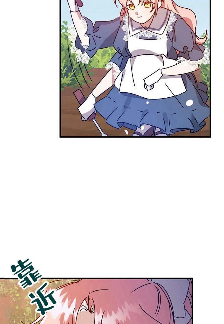 77.jpg