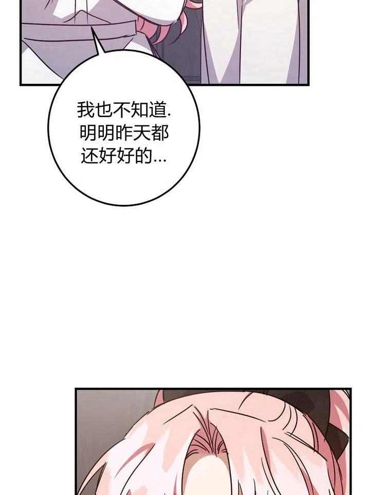 80.jpg