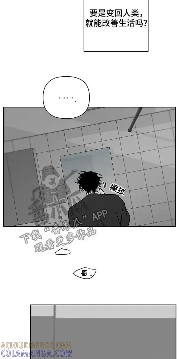 第31章：负罪感-孽缘(FAN)-Keonn（第11张）