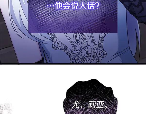 244.jpg