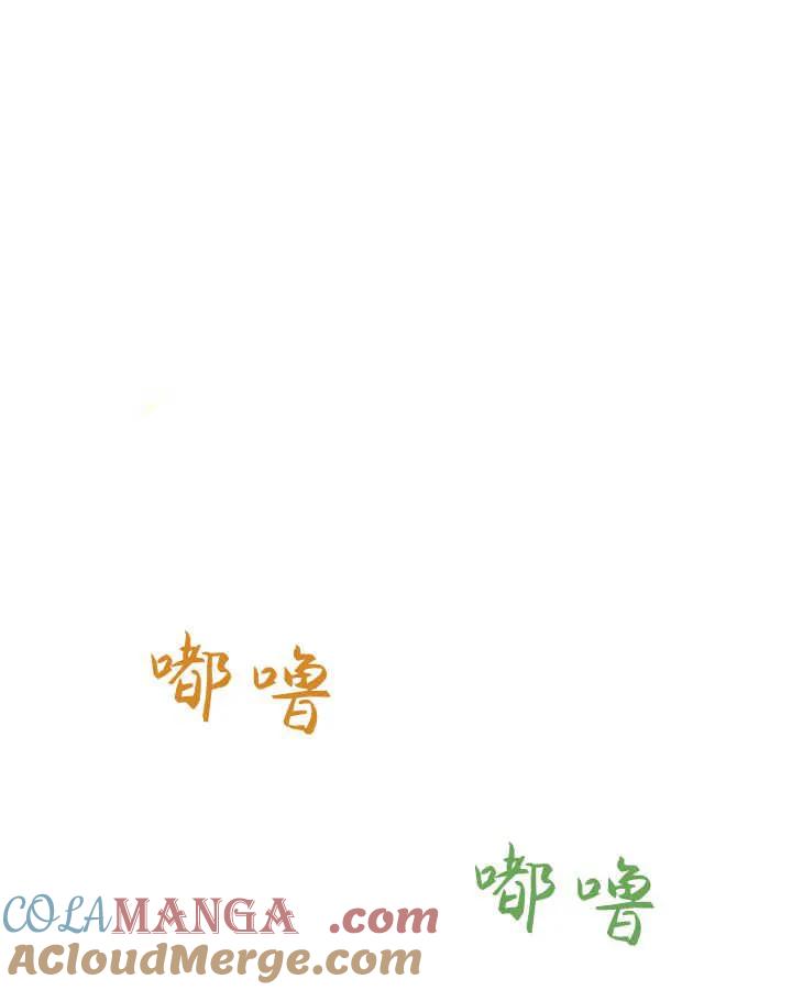 113.jpg