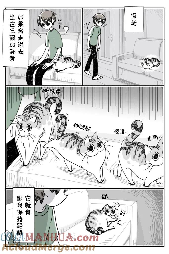第25话-关于养猫我一直是新手-キュルZ（第2张）
