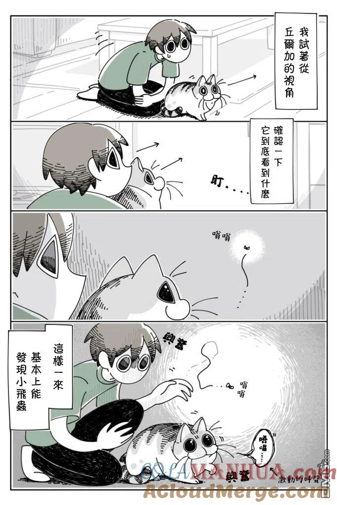 第26话-关于养猫我一直是新手-キュルZ（第2张）