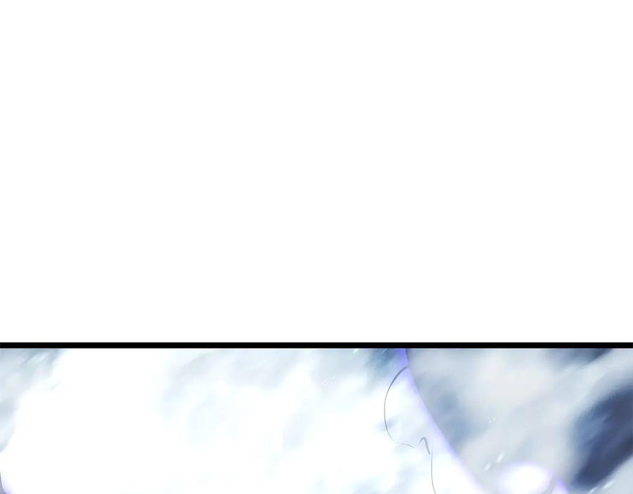 278.jpg