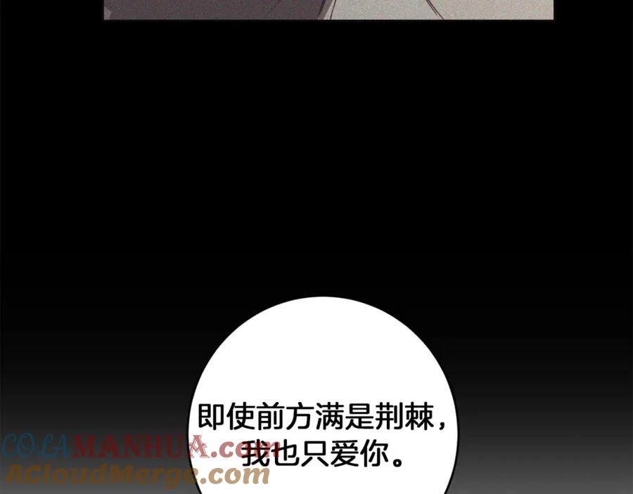 113.jpg