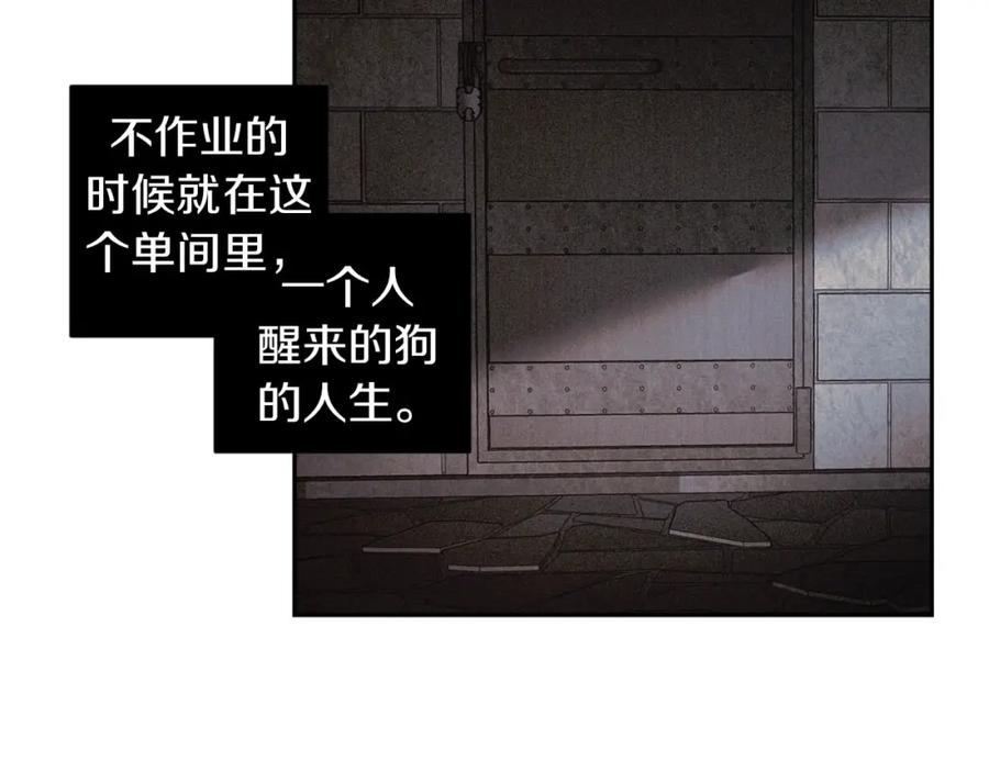 83.jpg