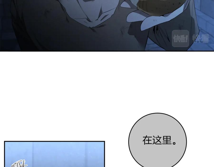 100.jpg