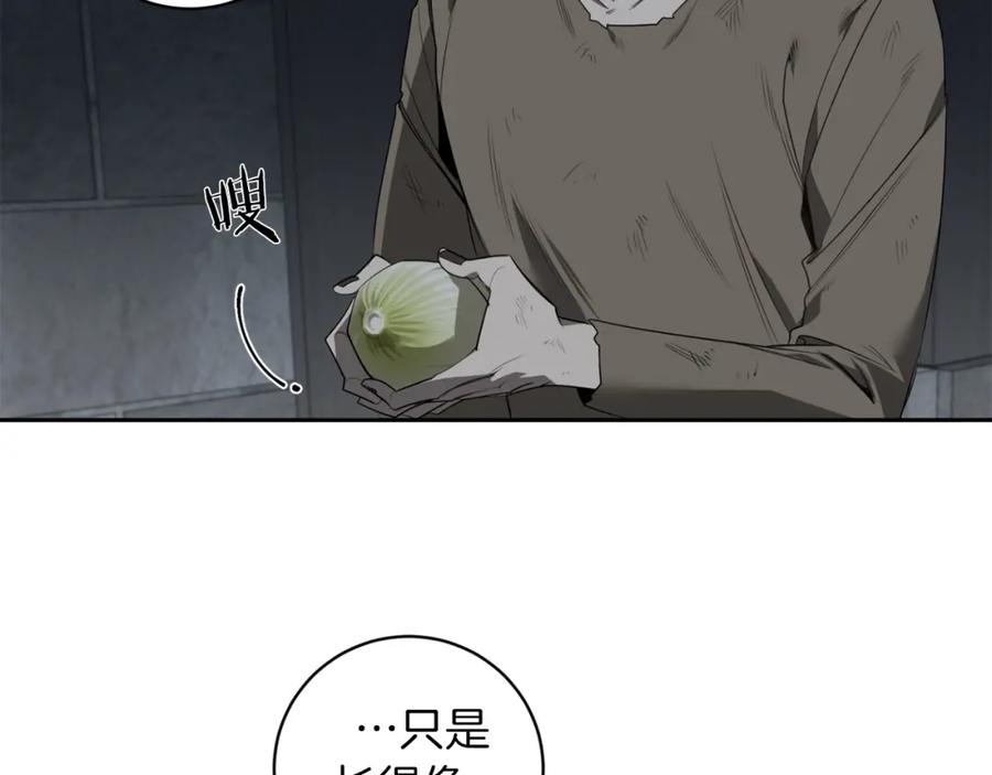 66.jpg