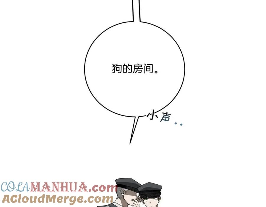 117.jpg