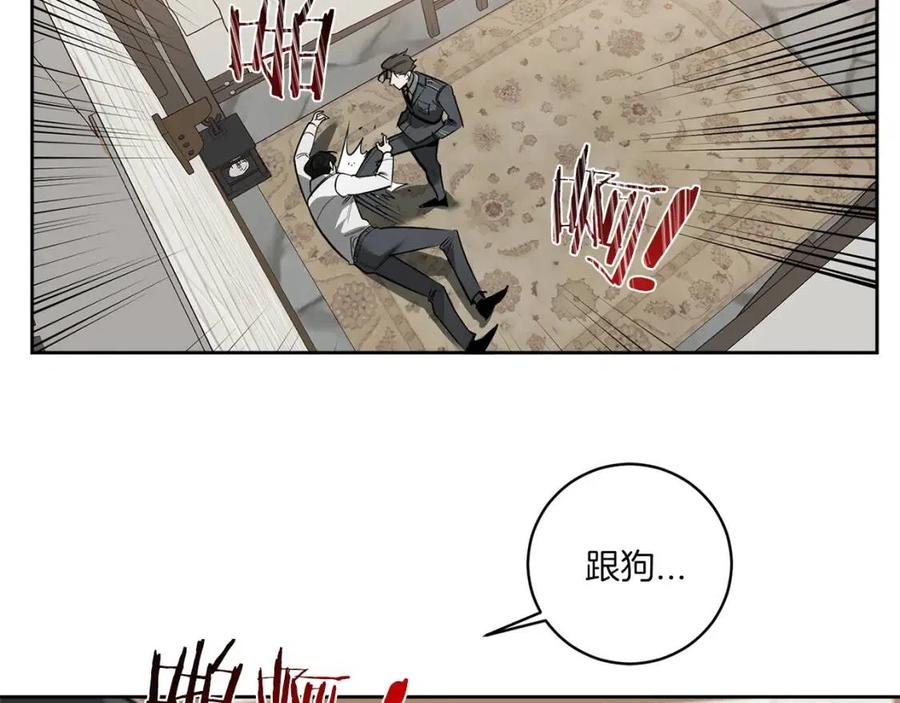 100.jpg