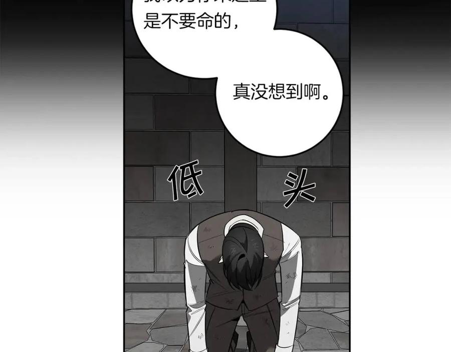 51.jpg