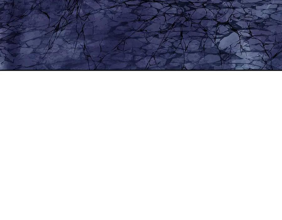 238.jpg
