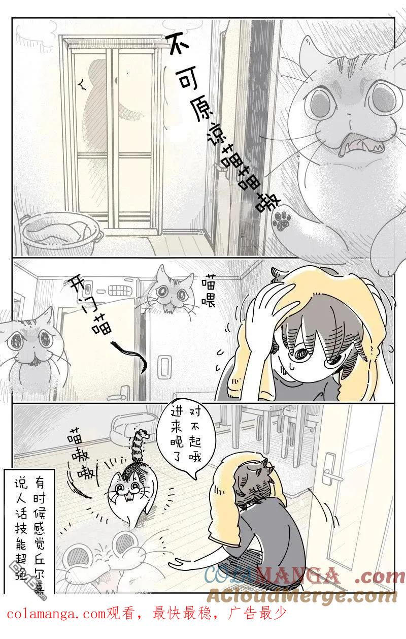 第234话-关于养猫我一直是新手-キュルZ（第3张）