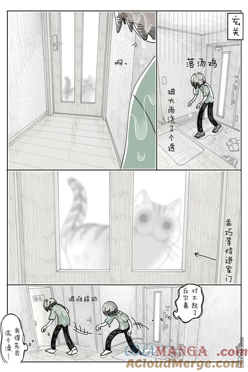 第234话-关于养猫我一直是新手-キュルZ（第1张）