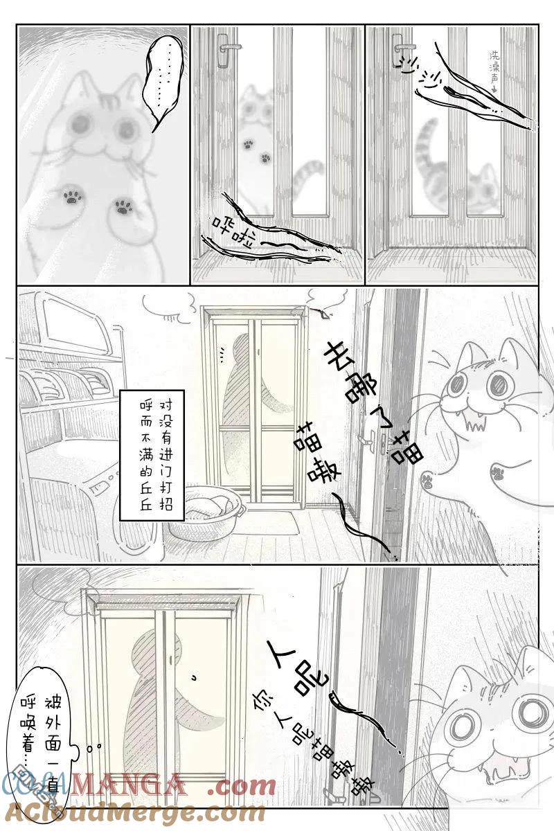 第234话-关于养猫我一直是新手-キュルZ（第2张）