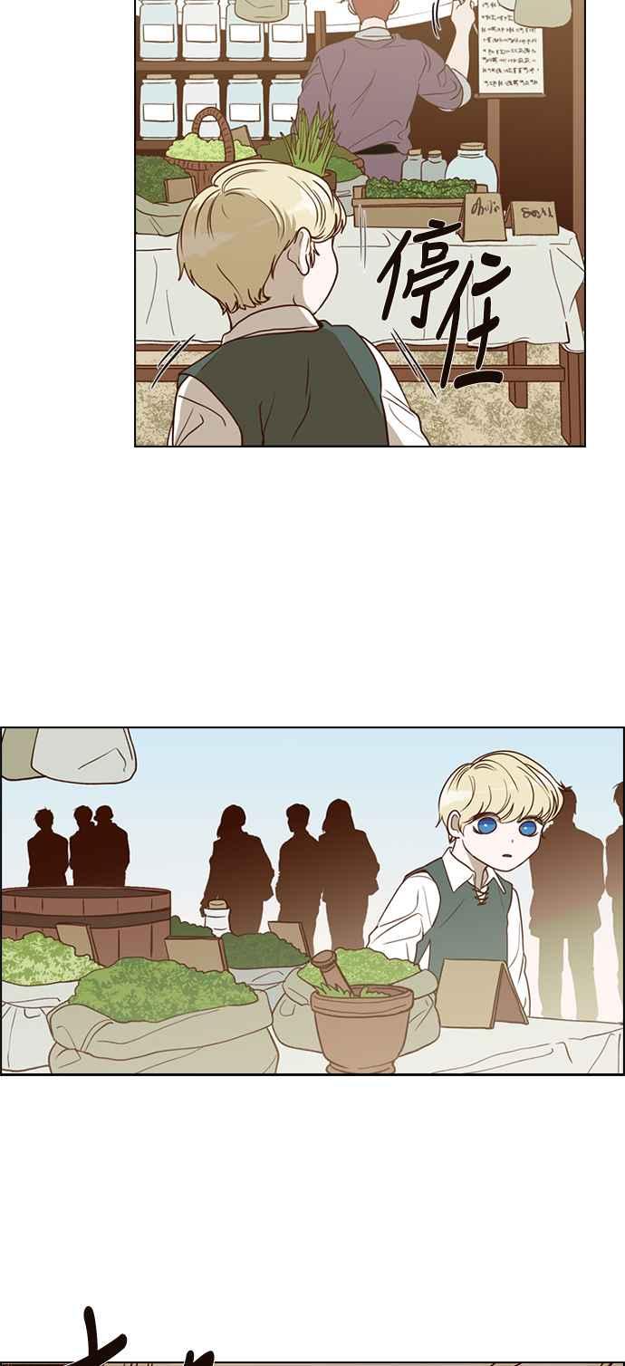 52.jpg