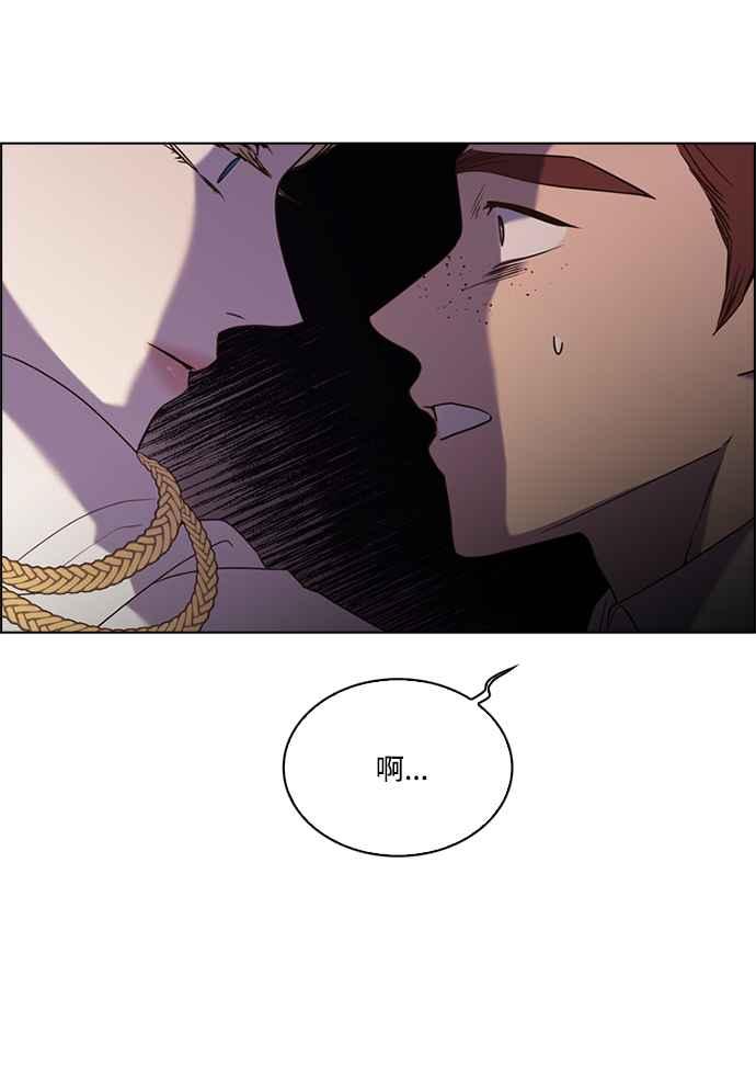 51.jpg