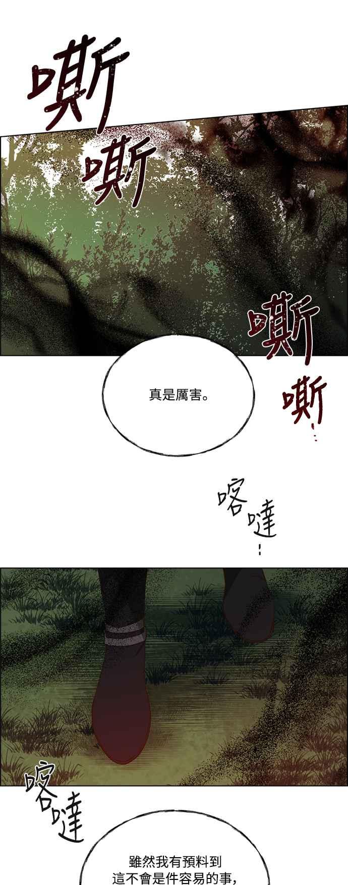 41.jpg