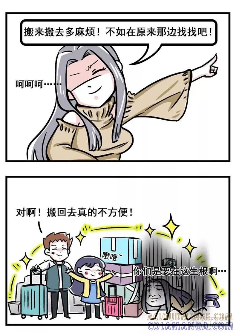 我看你是想气死我好继承我的房产-素菜包-金姨（第6张）