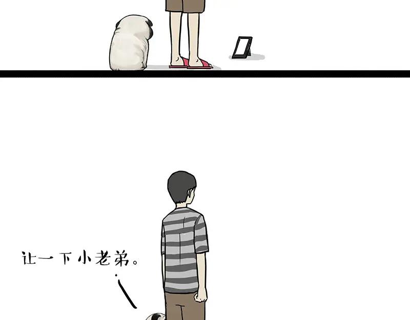 33.jpg