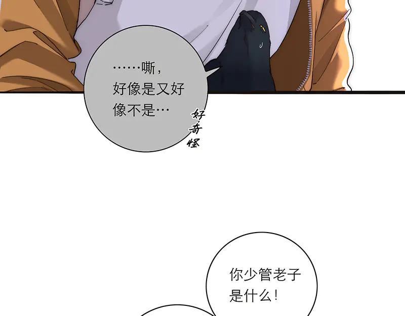 第24话一晚赚了一百五-恩公不做文人雅士-clevercool_（第7张）