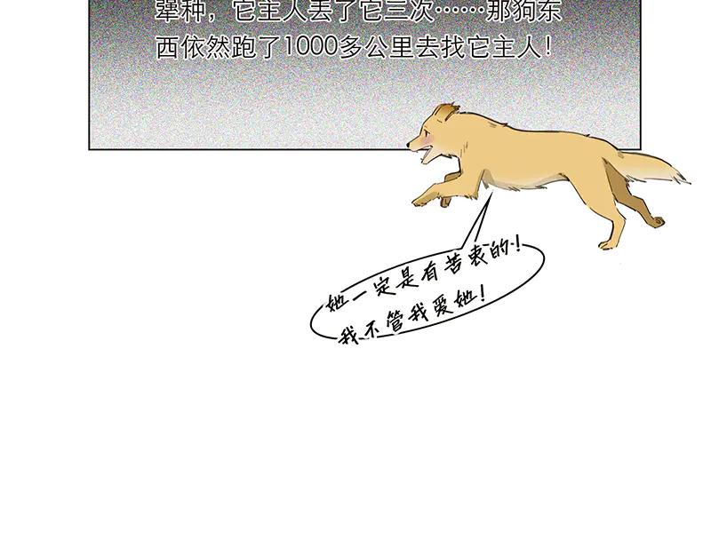 第29话犬科动物都是恋爱脑-恩公不做文人雅士-clevercool_（第14张）