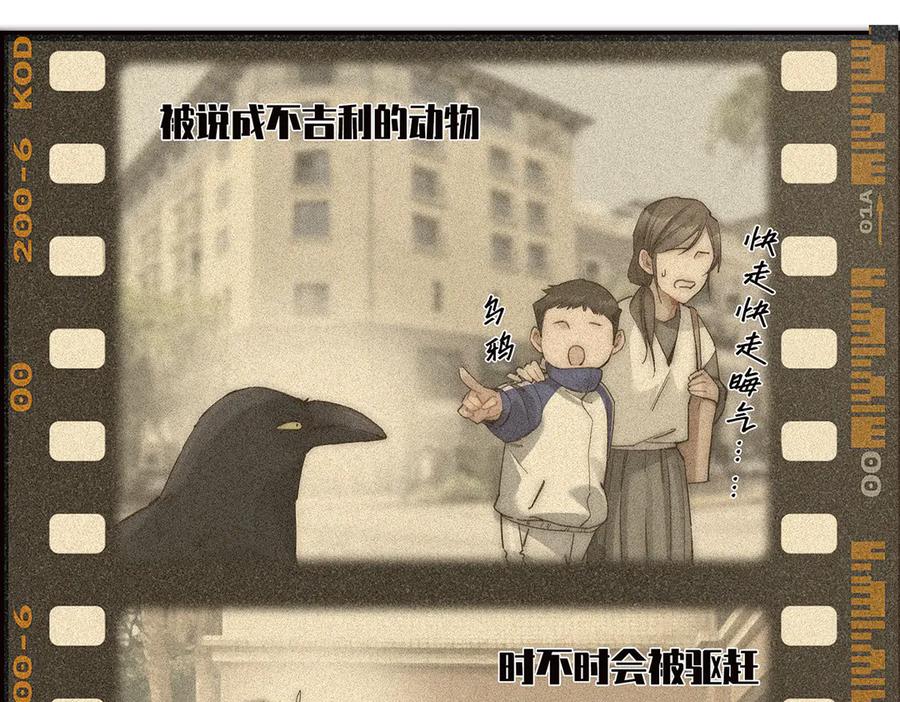 第38话蜘蛛-恩公不做文人雅士-clevercool_（第6张）