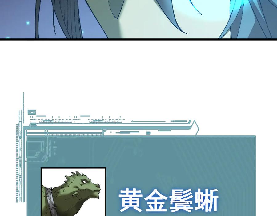 167.jpg