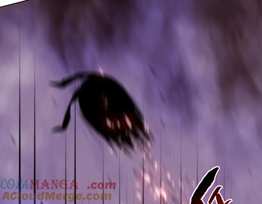 113.jpg