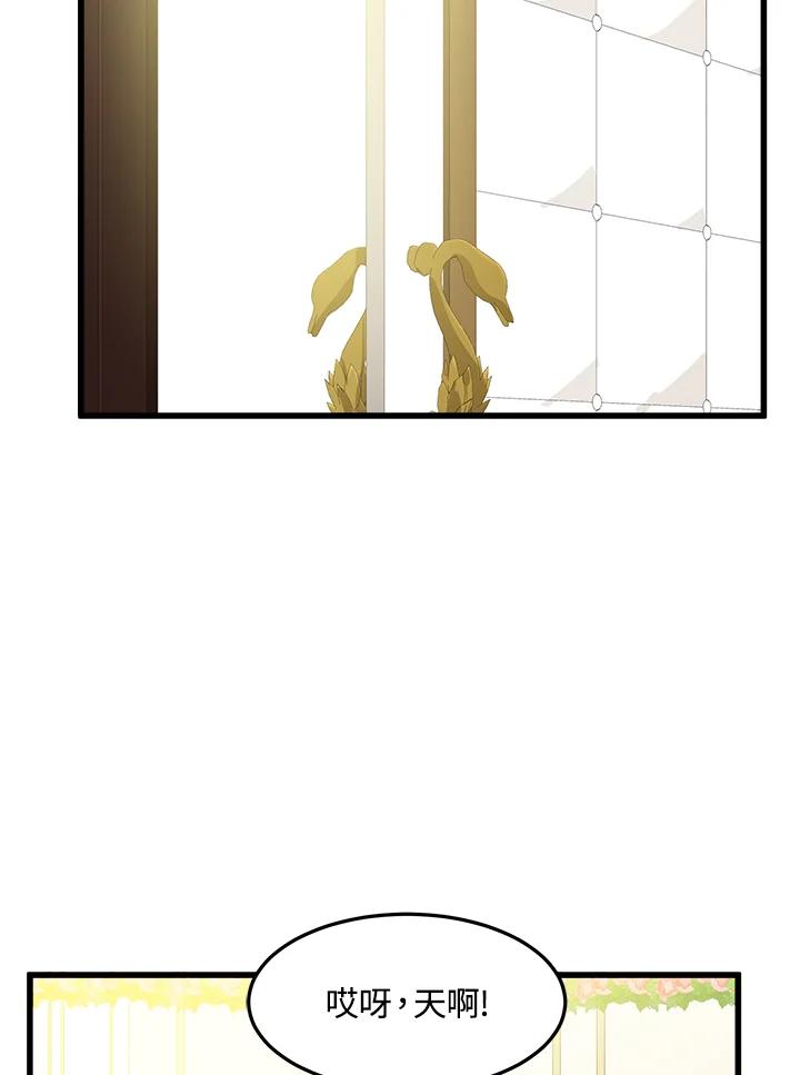 44.jpg