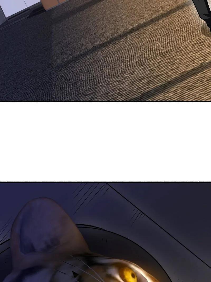 92.jpg