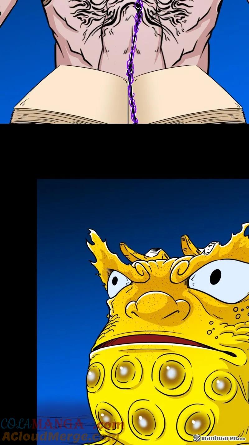 25.jpg