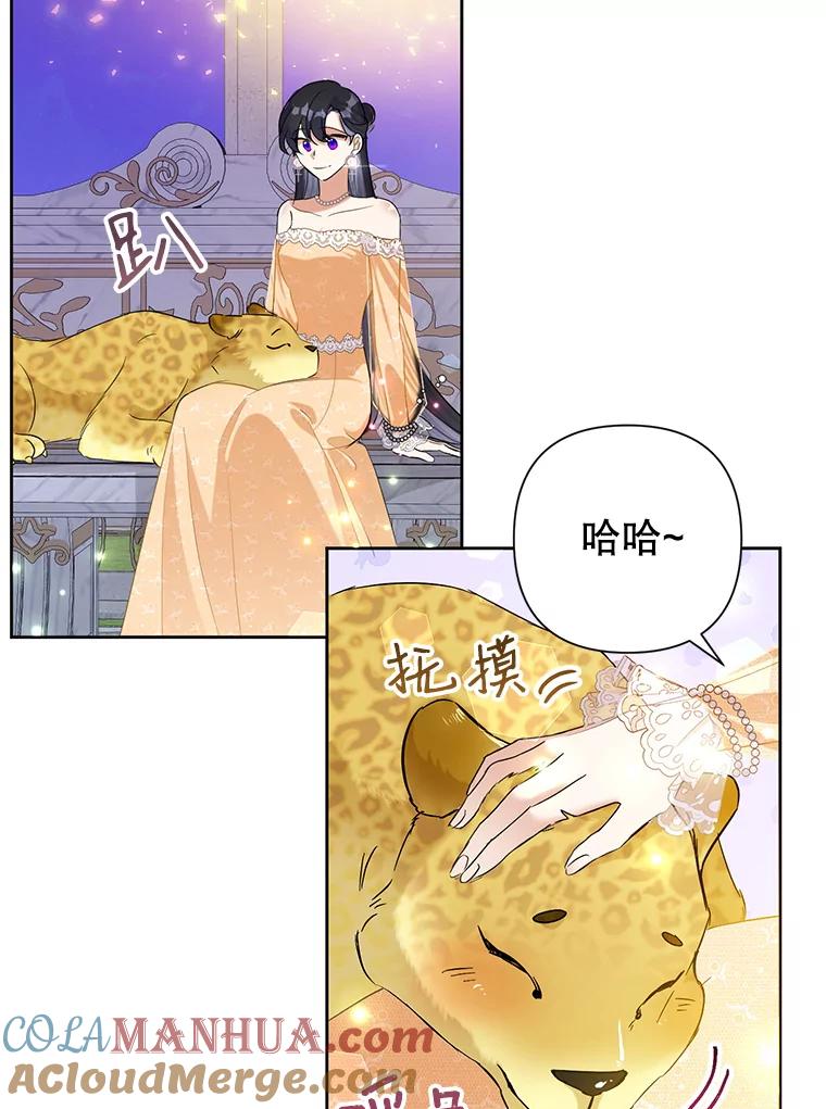 81.jpg