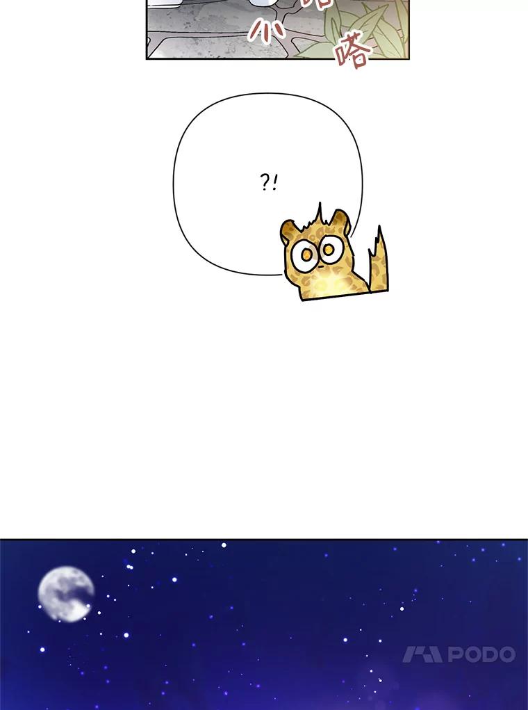 79.jpg