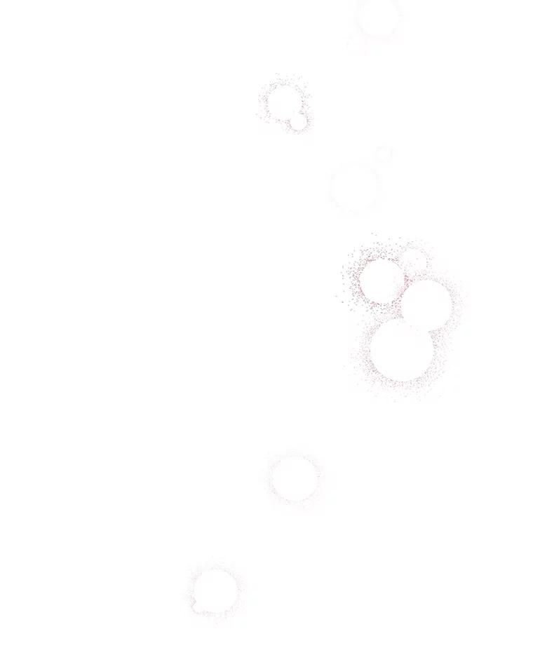54.jpg