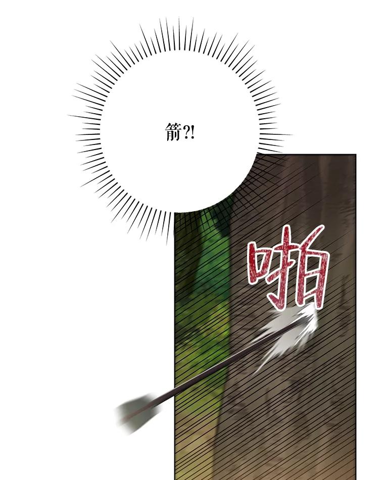 78.jpg