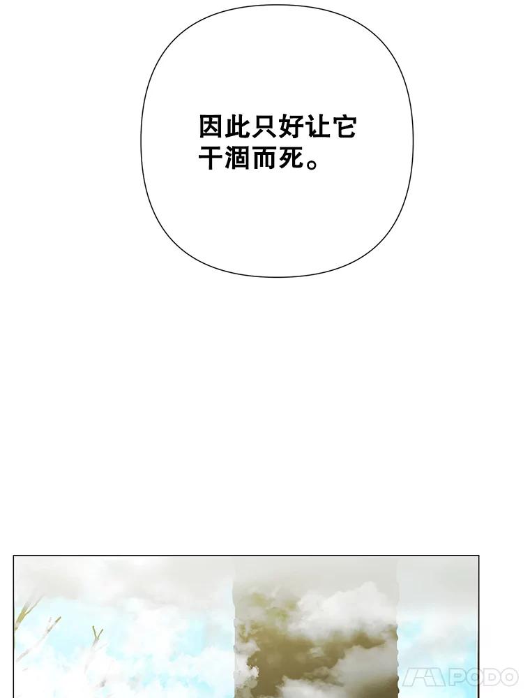 91.jpg