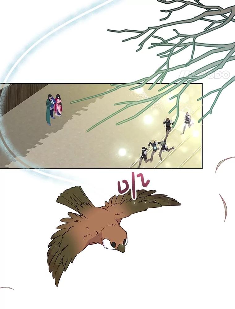 114.jpg
