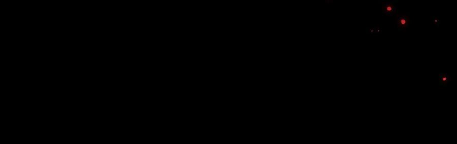 48.jpg