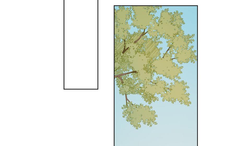 63.jpg