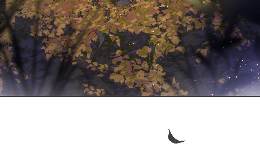 126.jpg