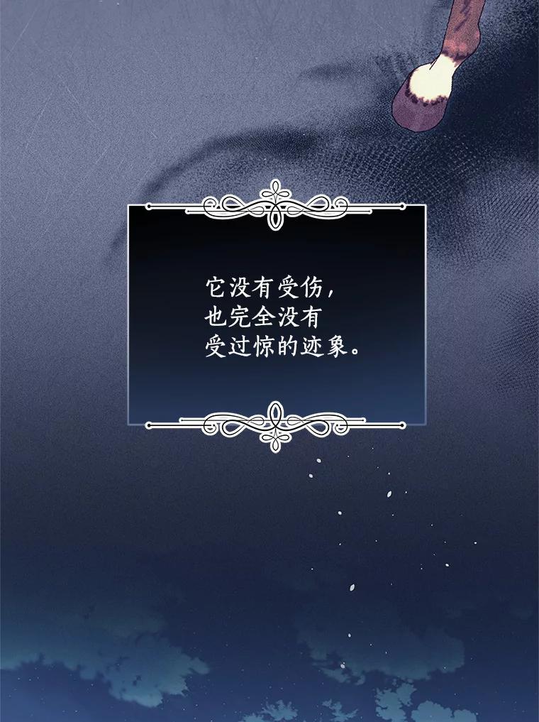 80.jpg