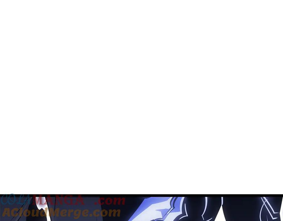 241.jpg