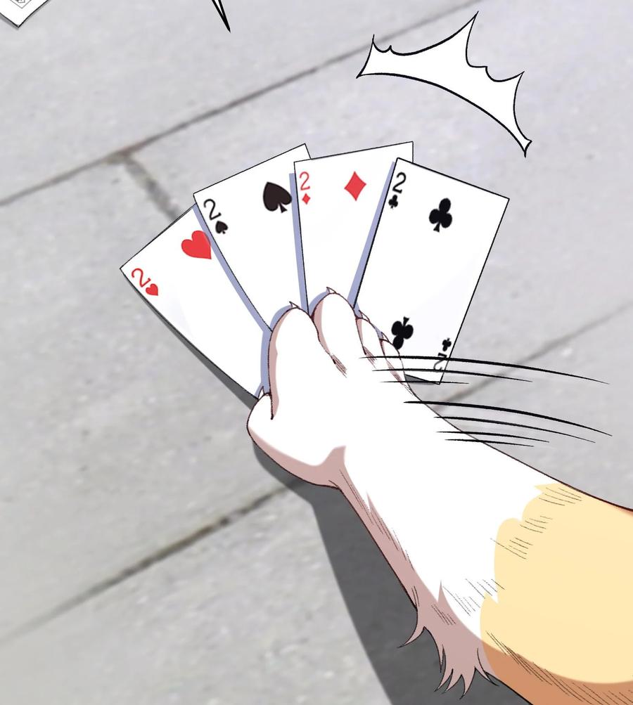 77.jpg
