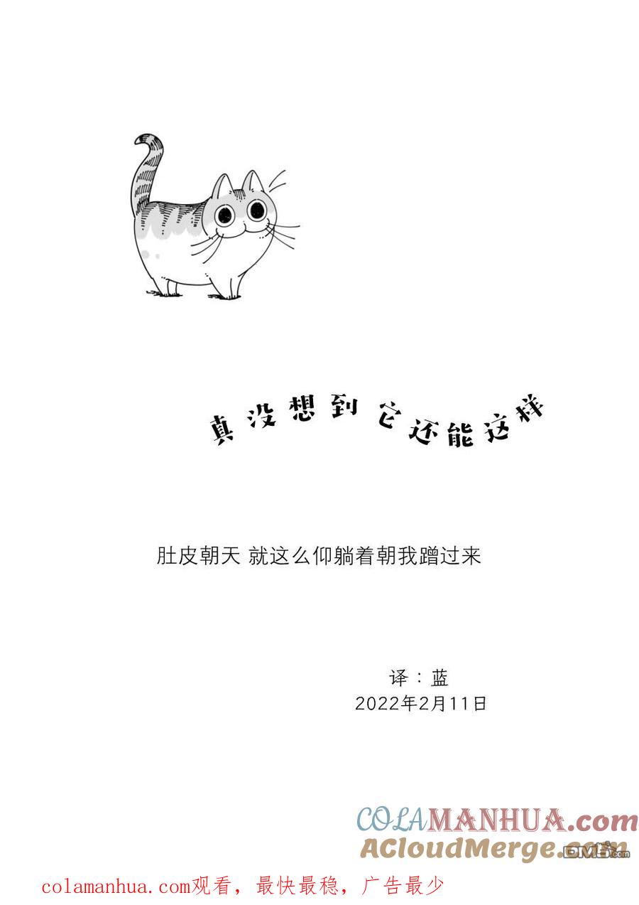 第103话-关于养猫我一直是新手-キュルZ（第2张）