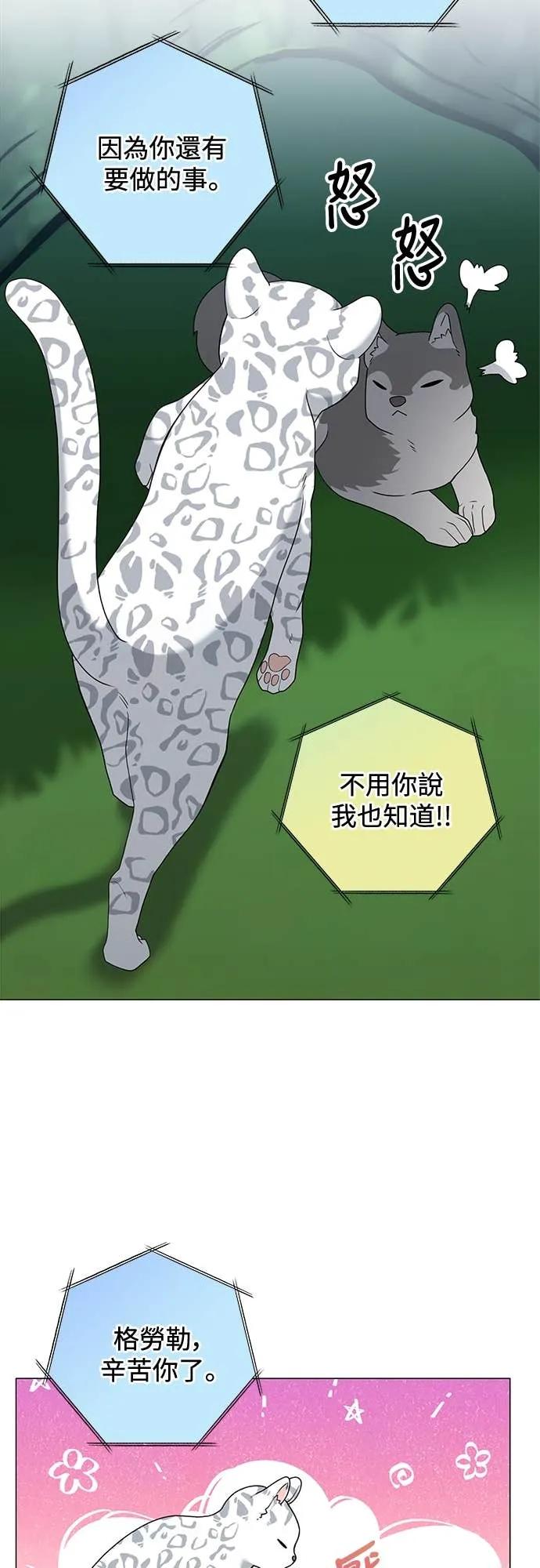 56.jpg