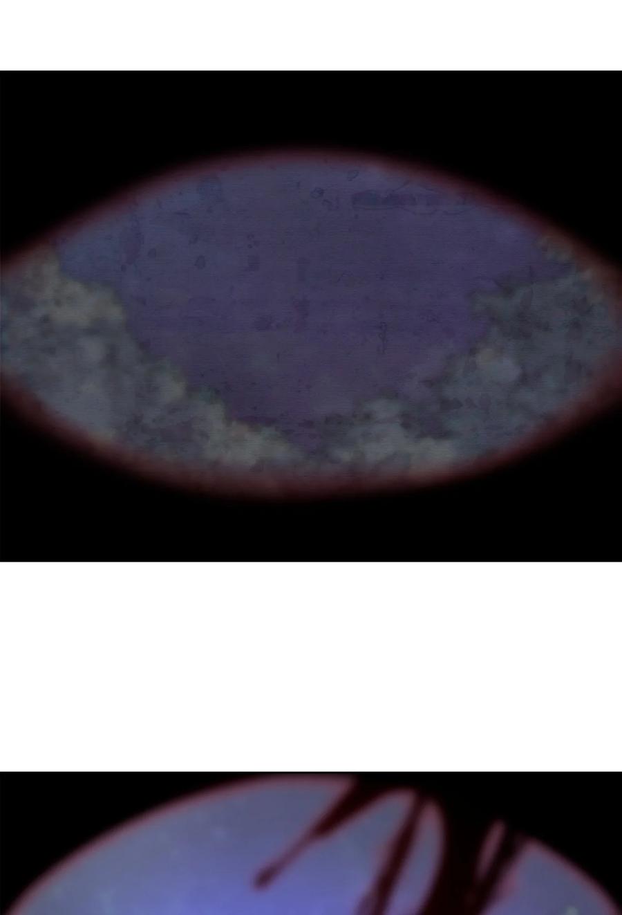 92.jpg