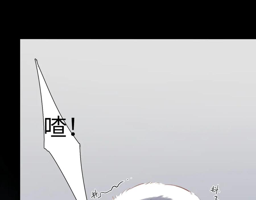 68.jpg